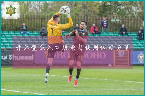开云登录入口说明与使用体验分享