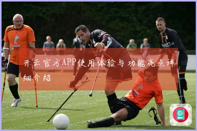 开云官方APP使用体验与功能亮点详细介绍